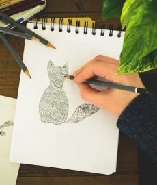 Aprenderadibujar