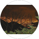 Manuela Lopera profile picture