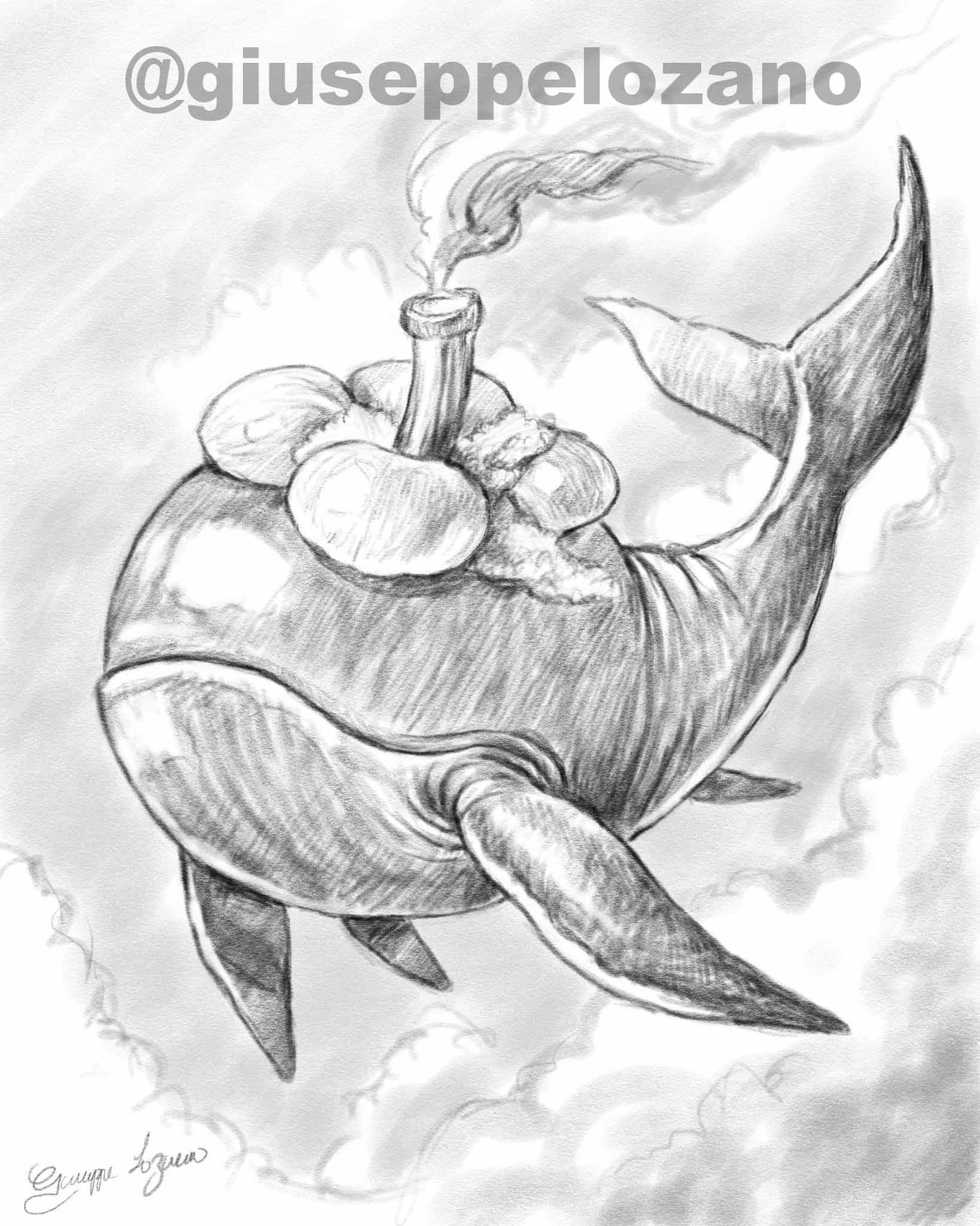 Dibujo ballena mangostino